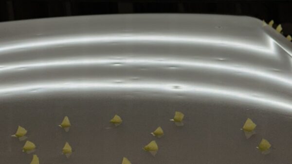 ハイゼット　雹害車のヘコミ修理　デントリペア