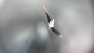 [高崎市]ヴォクシー　フロントガラス飛び石修理｜ガラスリペア...