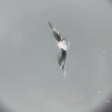 [高崎市]レヴォーグ　フロントガラスの飛び石修理｜ガラスリペア施工