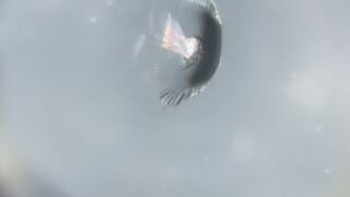 [高崎市]NBOX　フロントガラスの飛び石修理｜ガラスリペア...