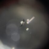 [高崎市]フィット　フロントガラスの飛び石修理｜ガラスリペア施工