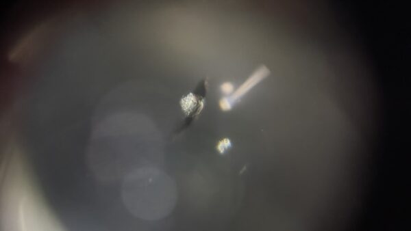 [高崎市]フィット　フロントガラスの飛び石修理｜ガラスリペア施工