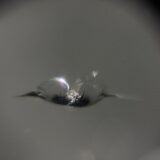 [調布市]AUDI A5　フロントガラスの飛び石修理｜ガラスリペア施工