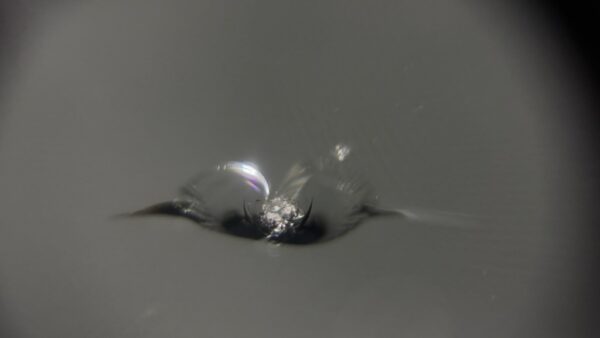 [調布市]AUDI A5　フロントガラスの飛び石修理｜ガラスリペア施工