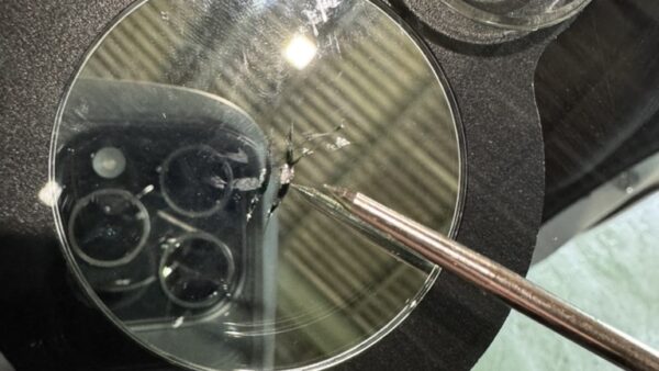 [富岡市]セレナ　フロントガラスの飛び石修理｜ガラスリペア施工