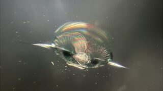 [前橋市]アトレー　フロントガラスの飛び石修理｜ガラスリペア...