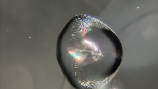 [前橋市]NBOX　フロントガラスの飛び石修理｜ガラスリペア施工